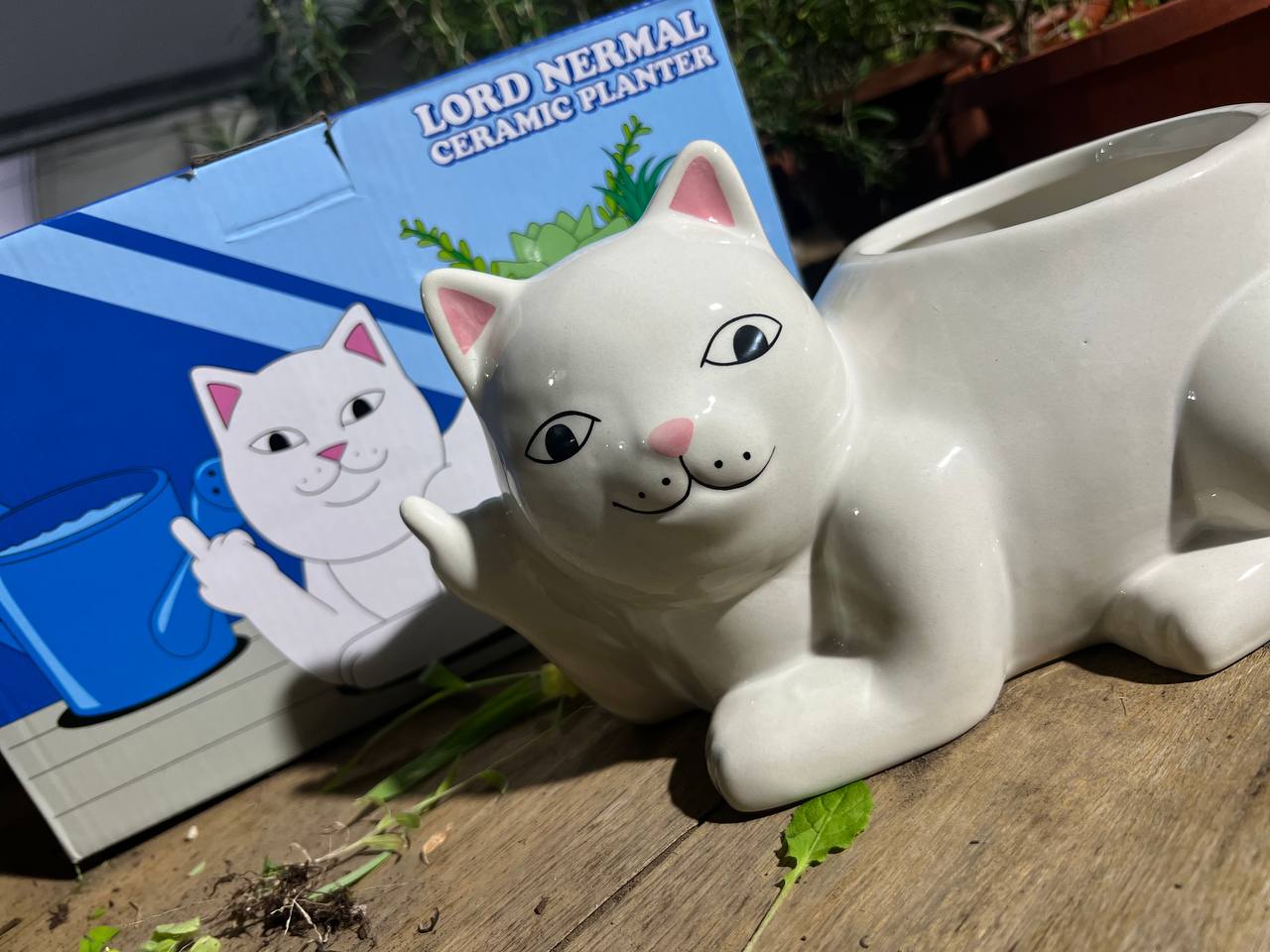 Lord Nermal Ceramic Planter