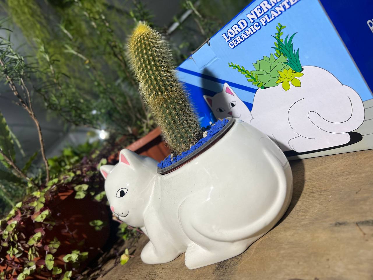 Lord Nermal Ceramic Planter