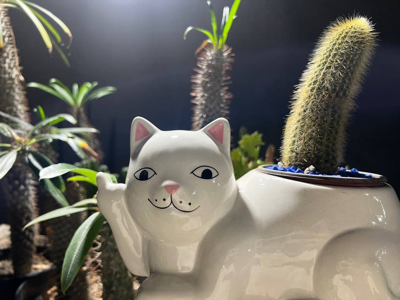 Lord Nermal Ceramic Planter