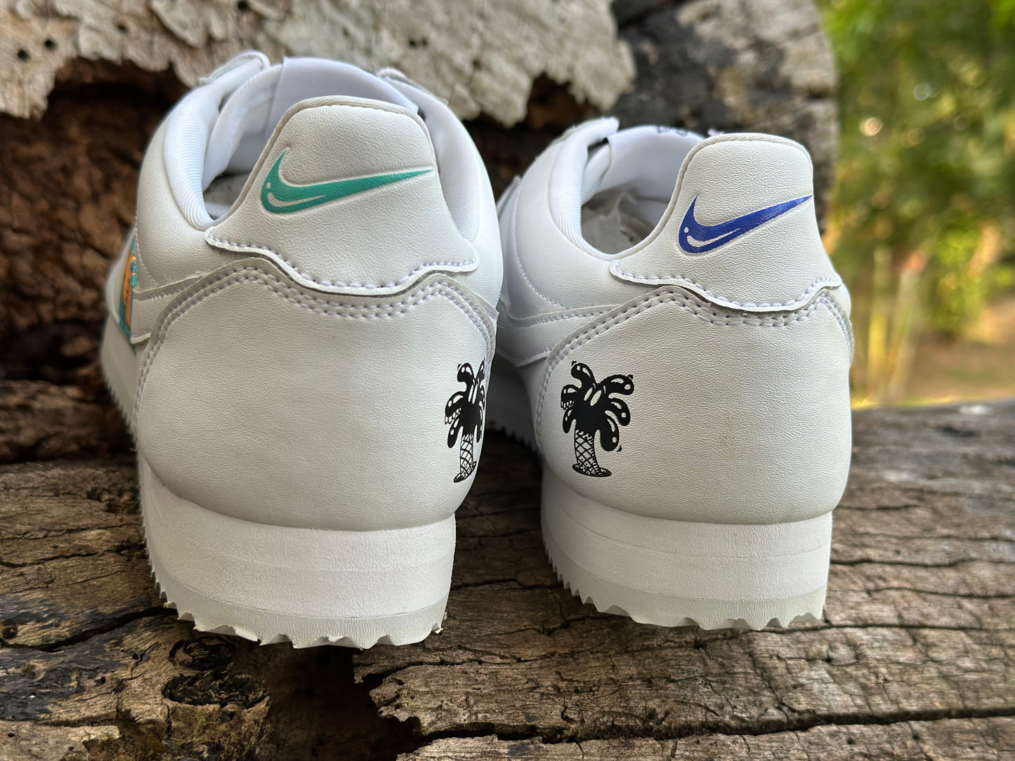 Nike Cortez x Steven Harrington "Earth Day Pack" (2019)
