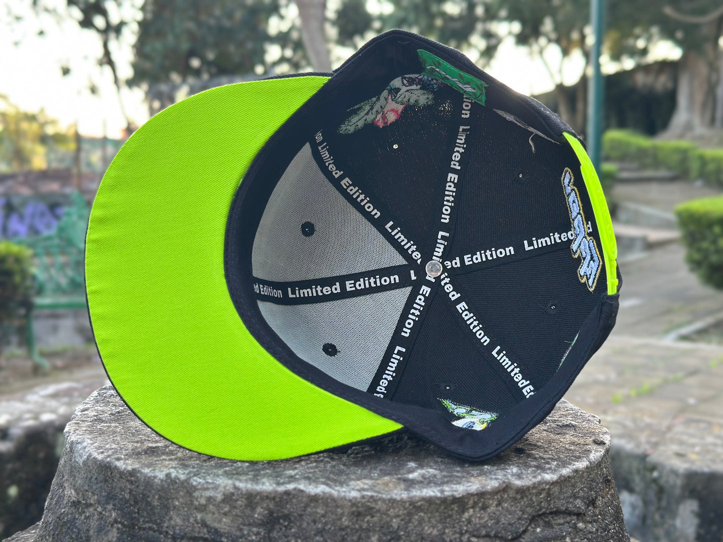 Reddy "Oakland Grass" (Black)