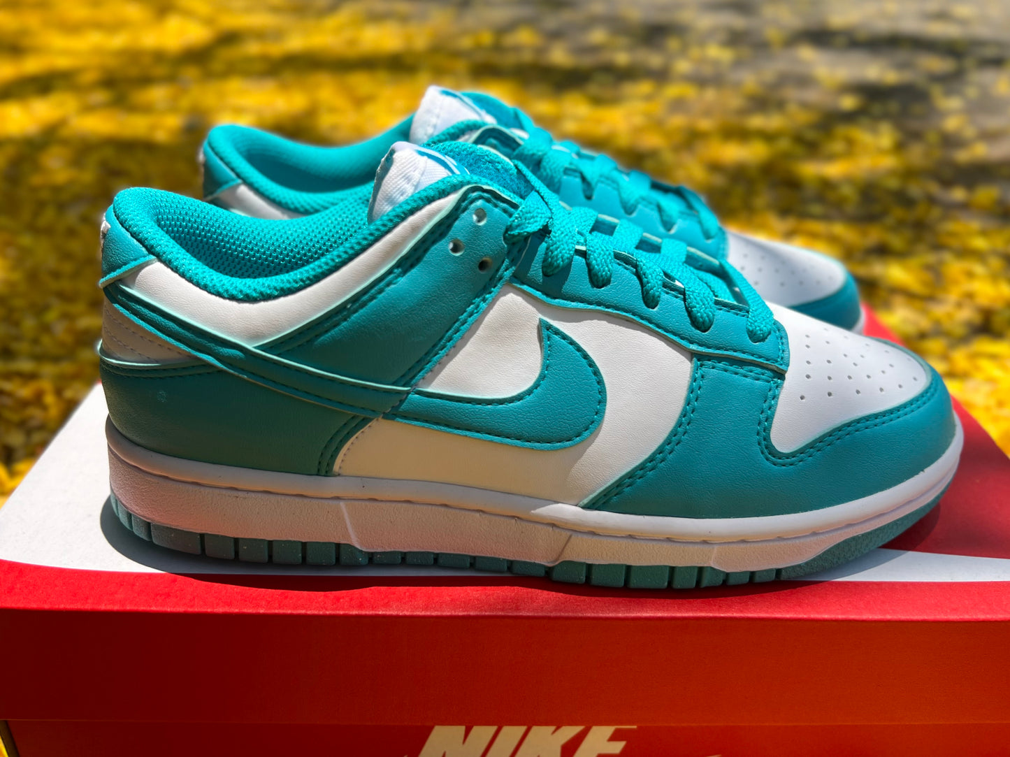 Dunk Low Next Nature "Dusty Cactus" (W)