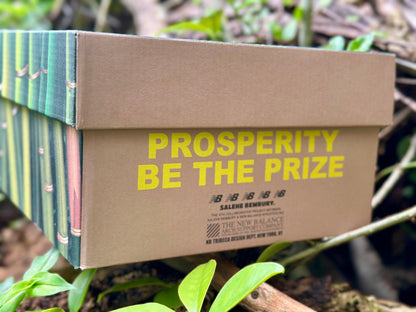 New Balance 530 x Salehe Bembury "Prosperity Be The Prize"