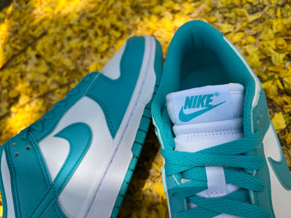 Dunk Low Next Nature "Dusty Cactus" (W)