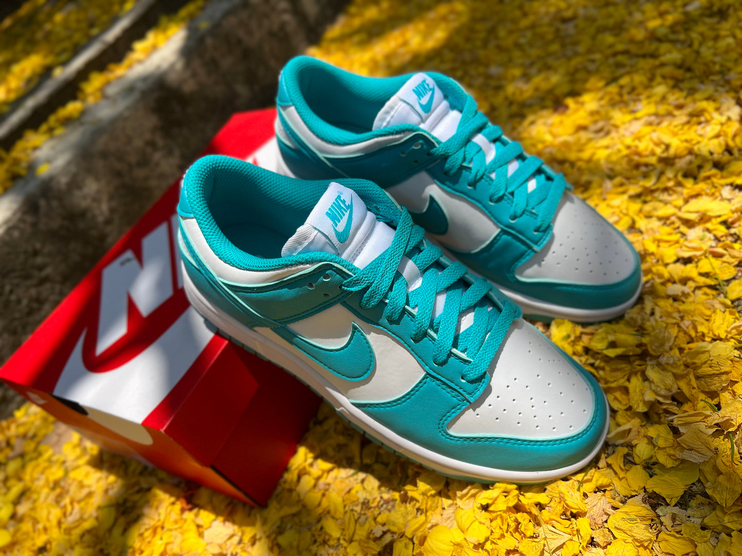 Dunk Low Next Nature "Dusty Cactus" (W)