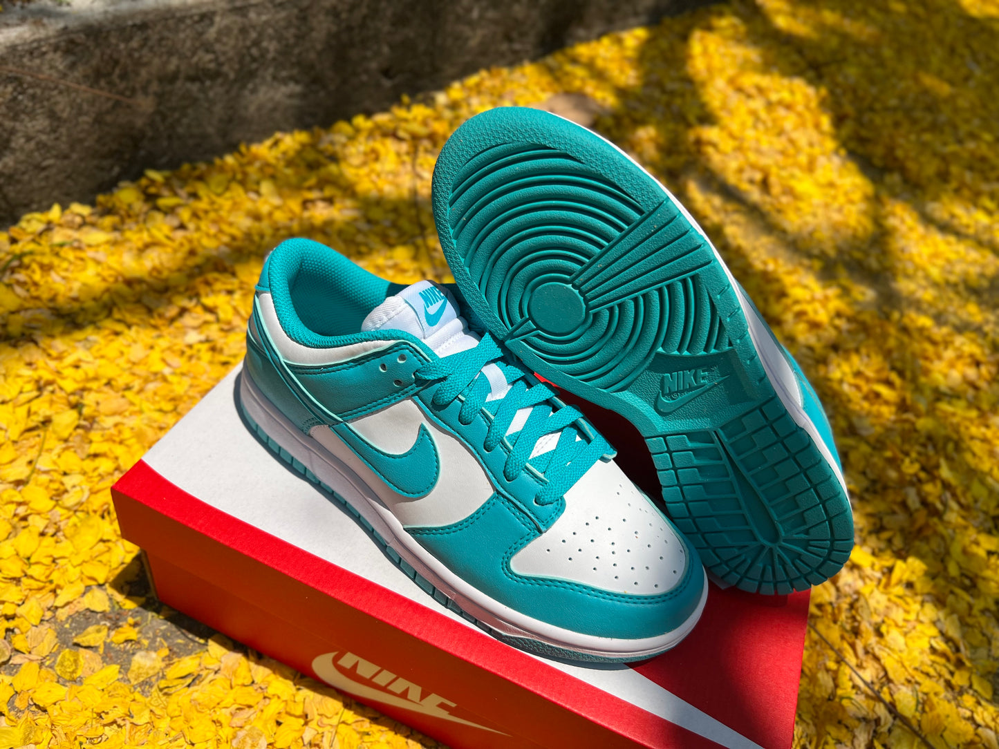 Dunk Low Next Nature "Dusty Cactus" (W)