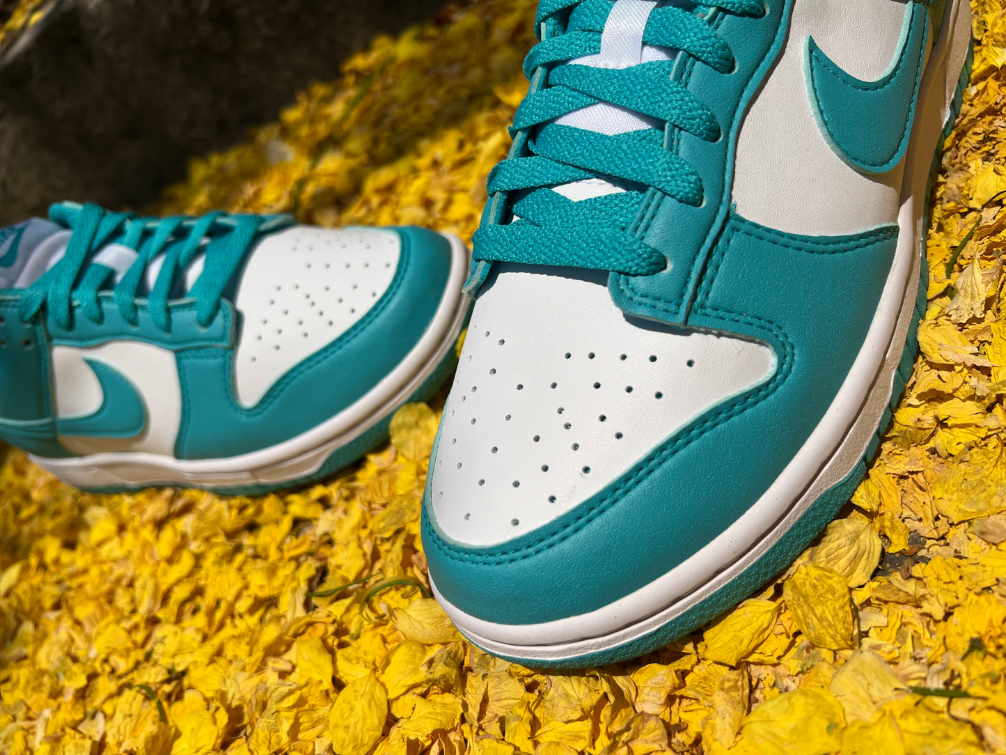 Dunk Low Next Nature "Dusty Cactus" (W)