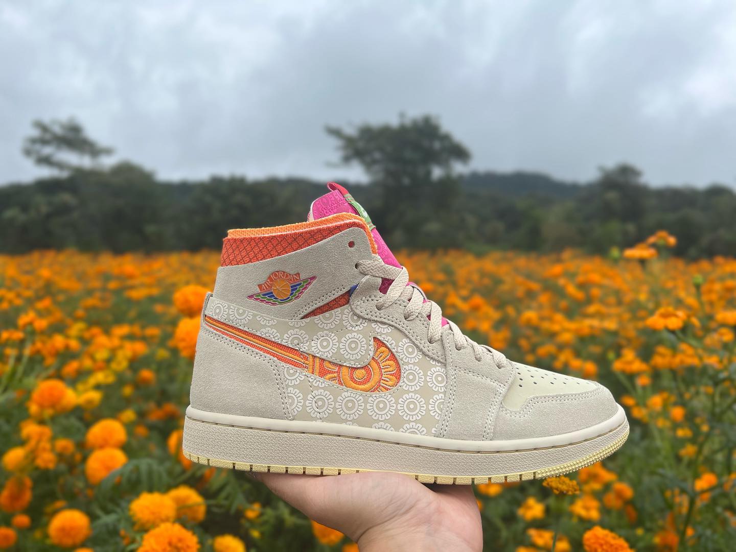 Jordan 1 high familia Clearance