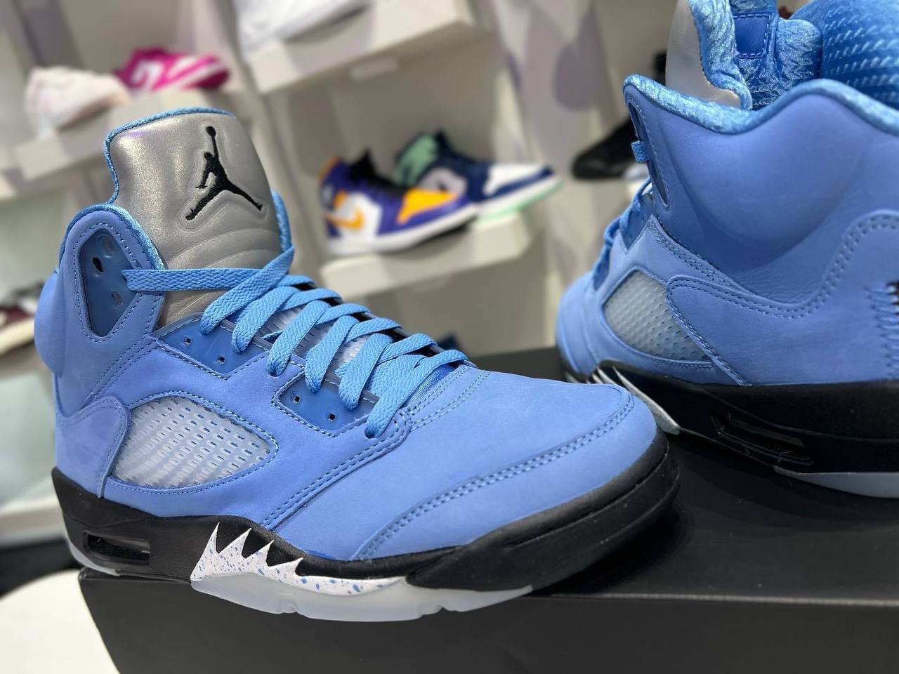 Air Jordan 5 Retro "UNC"